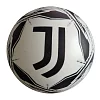 Bedruckter Kugelführerschein F.C.JUVENTUS 230 mm 06/174K