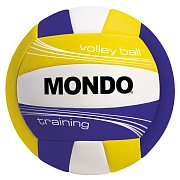 Volleyball Training Halle 13/135K