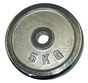 Chromscheibe 5kg