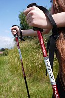 Trekkingstöcke - 1 Paar mit Zubehör rot